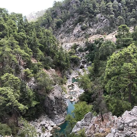 212 * Olimpos